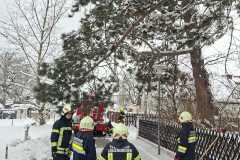 WhatsApp-Image-2026-02-21-at-12.33.35-1