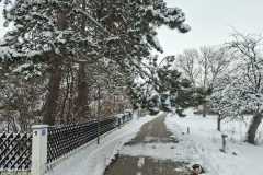 WhatsApp-Image-2026-02-21-at-12.33.35