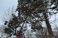 WhatsApp-Image-2026-02-21-at-12.33.36-1