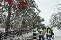 WhatsApp-Image-2026-02-21-at-12.33.36